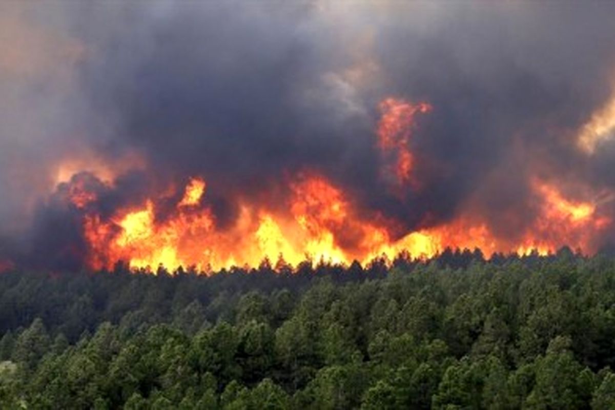 آتش‌سوزی ۱۳۵ هکتار از مزارع و منابع ملی در بروجرد