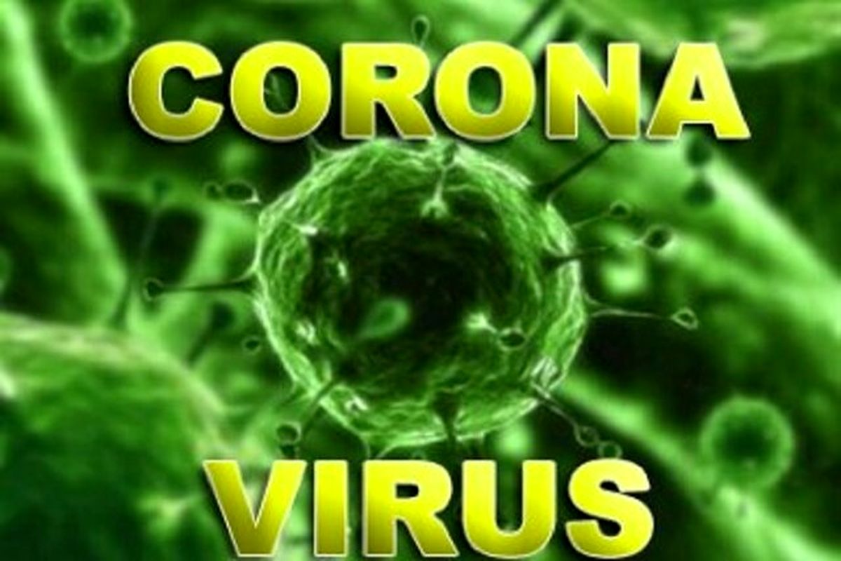 مشاهده ابتلا به ویروس کرونا در بندر شهید رجایی صحت ندارد
