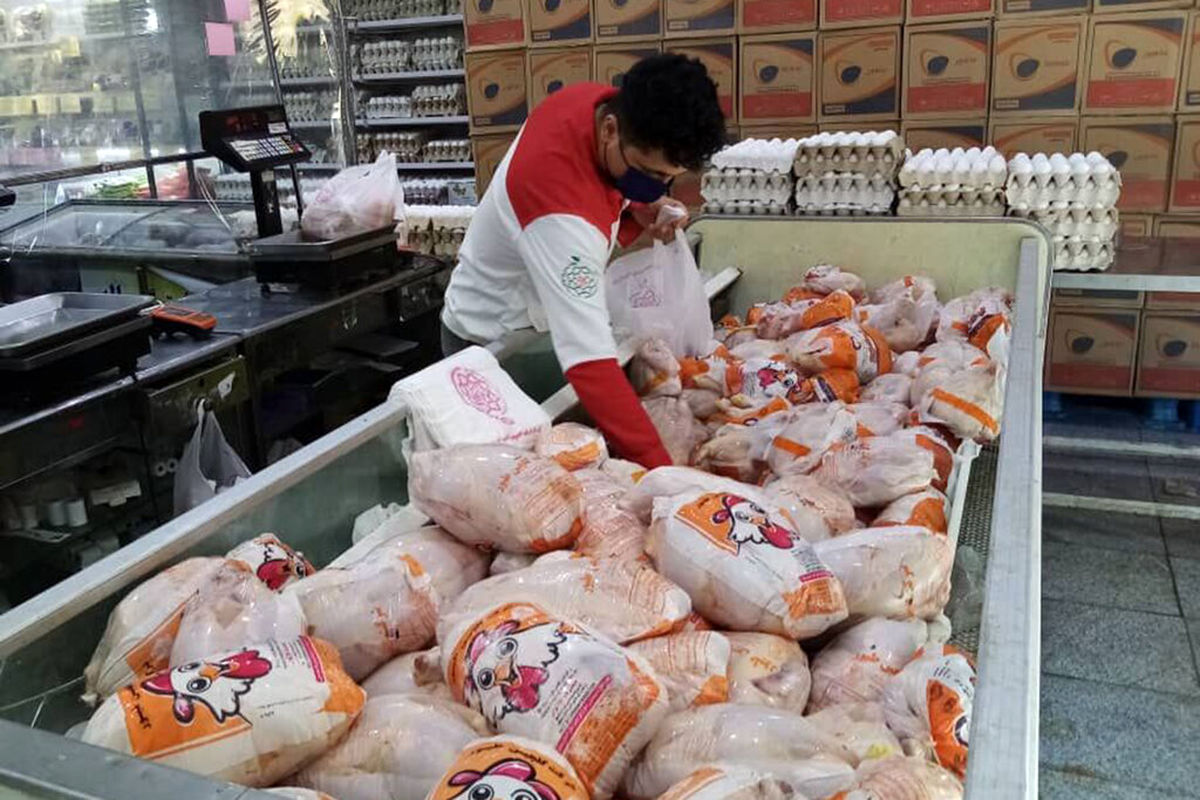 صادرات مرغ مازندران به عمان و عراق