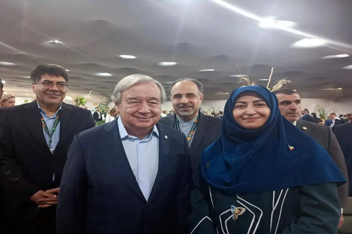 شینا انصاری