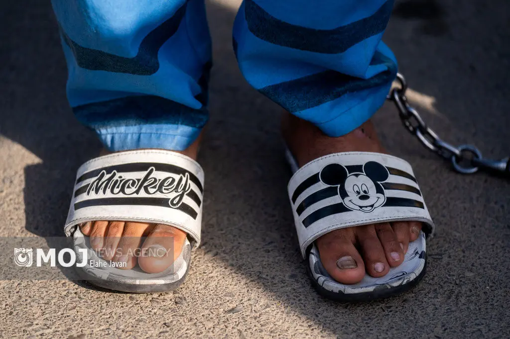 دستگیری سلطان خرید و فروش چک ! + فیلم