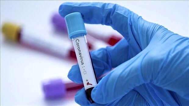 تاکنون 30 نفر در لرستان به کرونا ویروس مبتلا شده‌اند