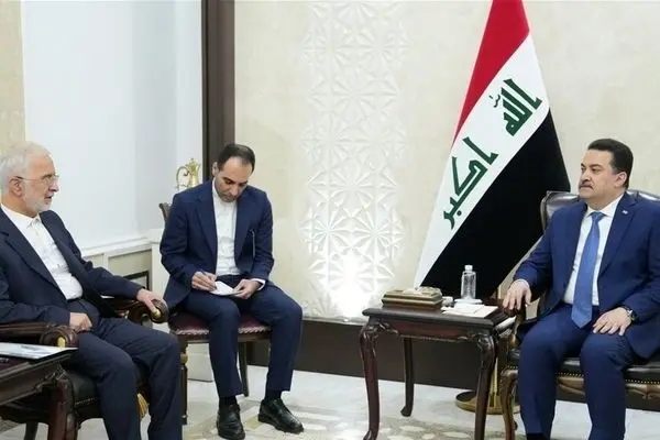 وزیر کشور ایران و نخست وزیر عراق درباره امنیت مرزها گفتگو کردند