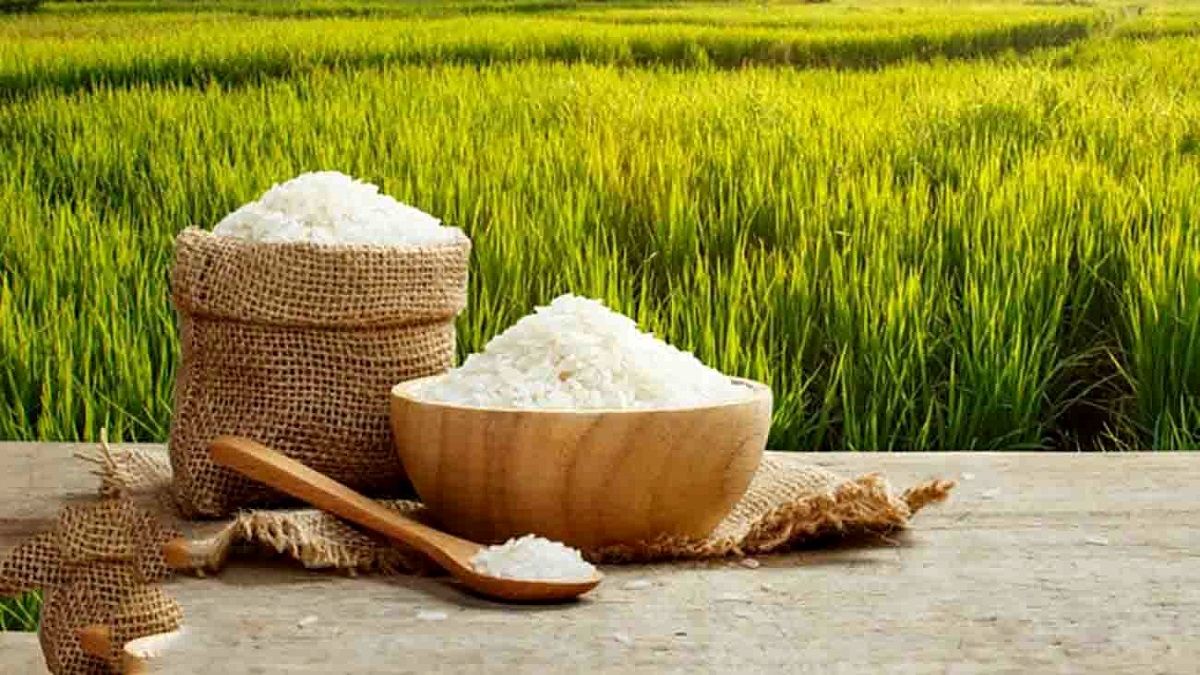 اعلام قیمت خرید توافقی برنج ایرانی