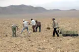 تخصیص اعتبارات مقابله با گردوغبار در آران و بیدگل صفر است