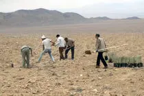 تخصیص اعتبارات مقابله با گردوغبار در آران و بیدگل صفر است