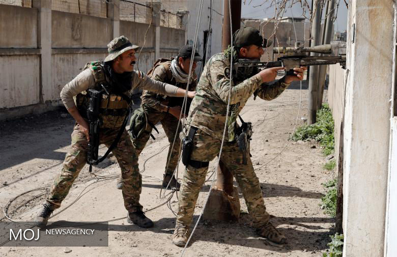 العرب الیوم: 1300 داعشی در تلعفر تسلیم ارتش عراق شدند