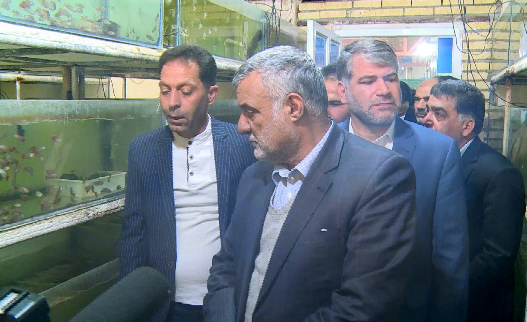 وزیر جهاد کشاورزی از قطب تولید ماهیان زینتی در کاشان بازدید کرد