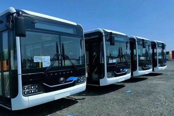 ۳۵ دستگاه اتوبوس دوکابین به کشور وارد شد