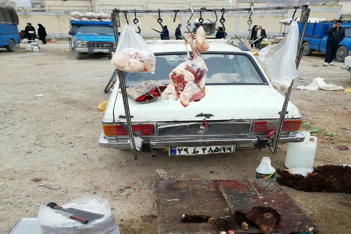 جمع‌آوری بیش از ۷۰۰ کیلوگرم گوشت کشتار غیرمجاز در کرمانشاه
