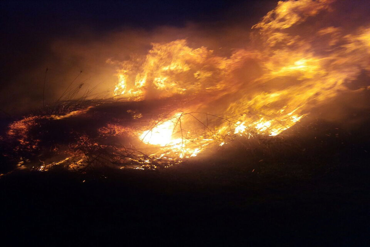 آتش سوزی گسترده اراضی پارک ملی بوجاق کیاشهر مهار شد