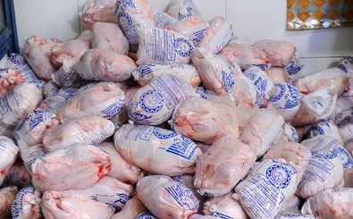 آغاز توزیع مرغ منجمد از امروز در مازندران