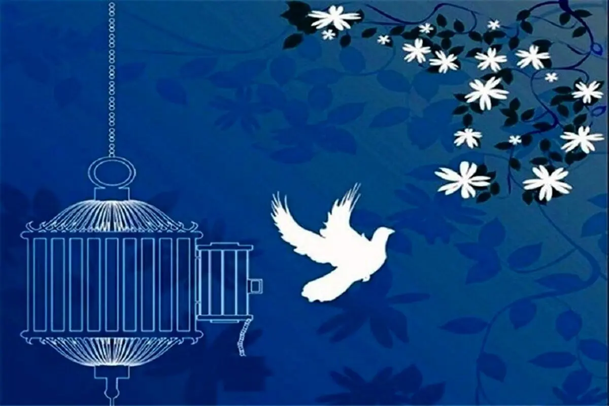 بخشش محکوم به قصاص پس از ۹ سال حبس در هرمزگان؛ جلوه‌ای از رأفت اسلامی در هفته وحدت