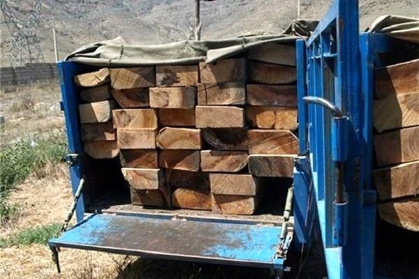 کشف 7 تن چوب جنگلی قاچاق در نوشهر