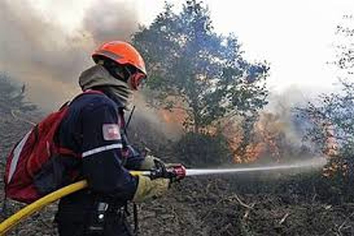 آتش سوزی ۱۰۰ متر مربع از حاشیه جاده منطقه حسن لنگی