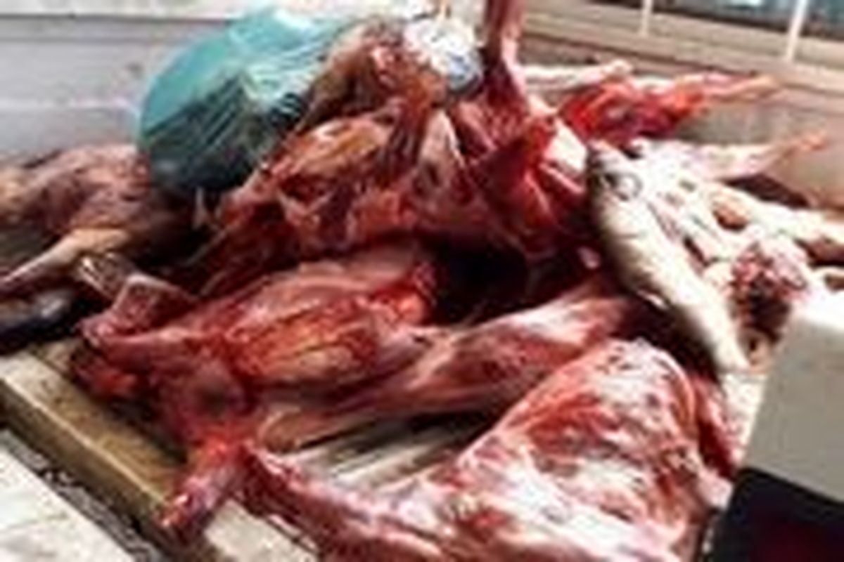 معدوم کردن 100 کیلوگرم گوشت فاسد در شهرستان برخوار