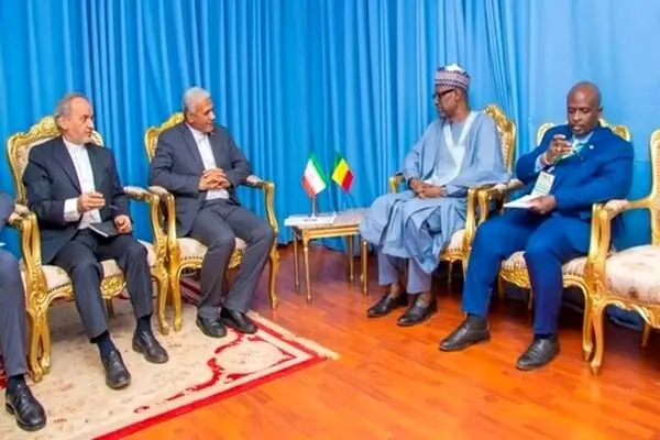 انتقال پیام‌های دیپلماتیک ایران در دیدار فرستاده ویژه با وزرای خارجه نیجر و مالی