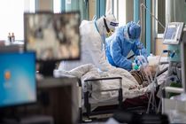 بستری 20 بیمار جدید مبتلا به کرونا در اردبیل 