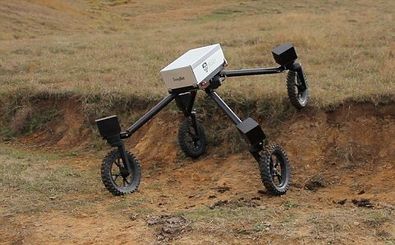 رباتی که از چوپانان هم بهتر گاوچرانی می‌کند