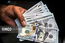 جدیدترین قیمت ارزها در بازار آزاد امروز ۲۵ آبان ۱۴۰۴