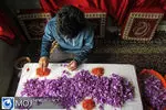 وایپو از برند ملی زعفران ایران حمایت می‌کند