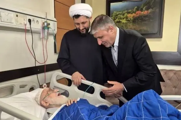 محمد اسلامی از آیت‌الله العظمی نوری همدانی عیادت کرد