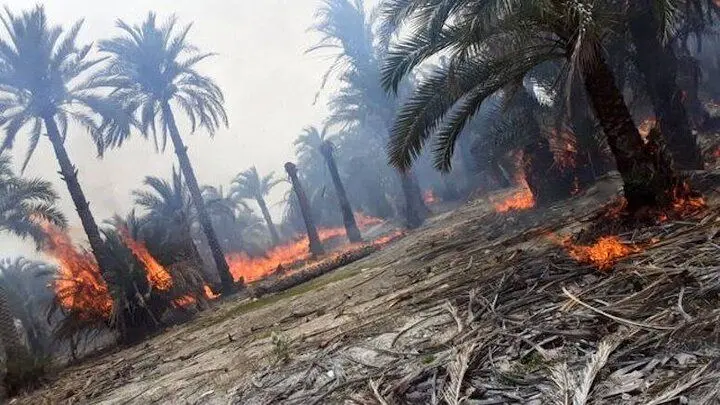 حدود ۹۰۰۰ هکتار از جنگل‌ها و مراتع در حمله اسرائیل تخریب شده است