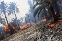 مهار آتش در باغ‌ها و نخیلات روستای پور احمدی حاجی آباد