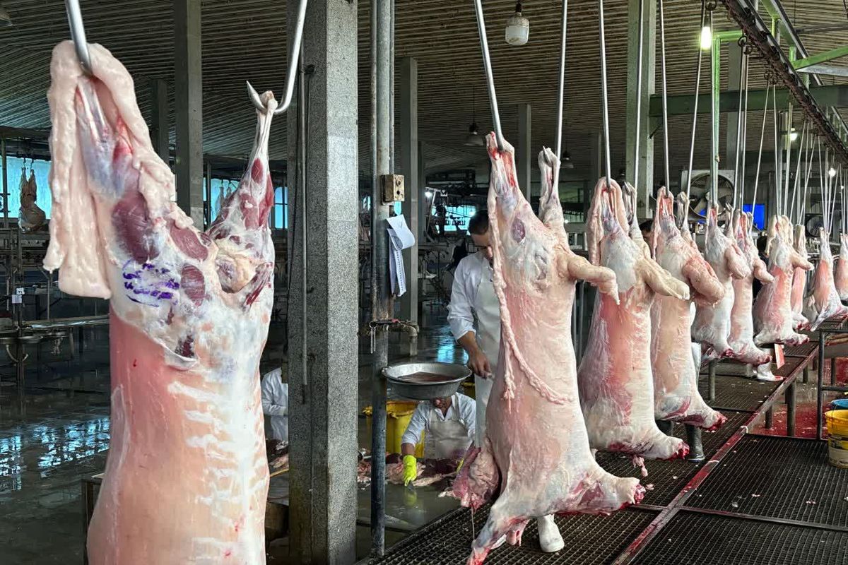 کشتارگاه‌ دامپزشکی