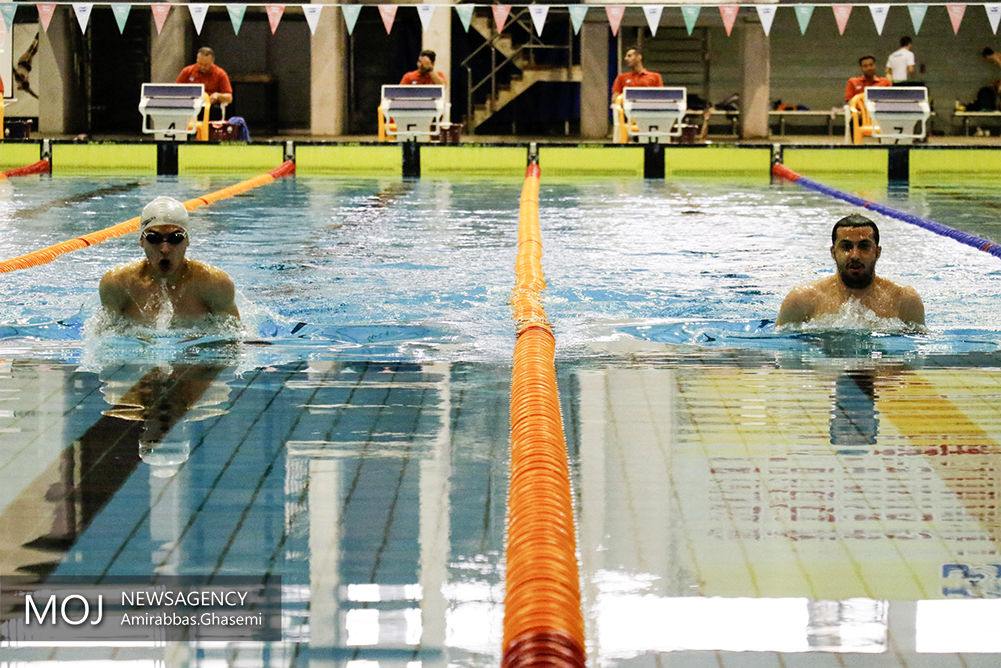 مرحله دوم شانزدهمین دوره مسابقات شنای باشگاه‌های کشور