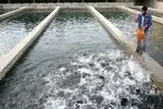 قطعی برق و کمبود سوخت؛ چالش جدی مزارع پرورش ماهیان سردآبی اردبیل