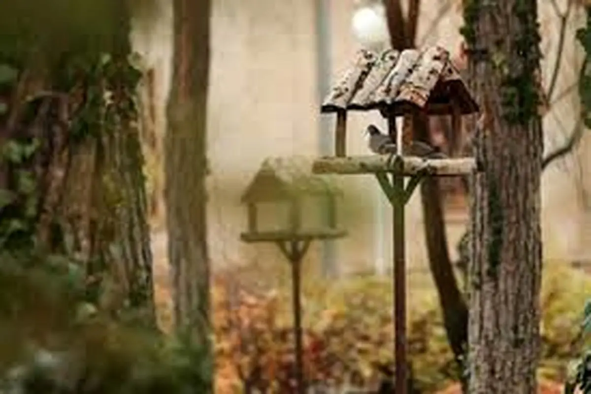 استفاده از خدمات اکولوژیک پرندگان برای کاهش سموم در فضاهای سبز