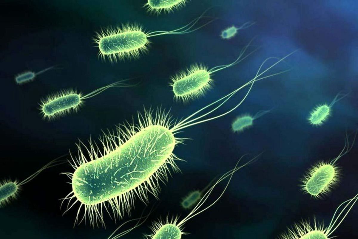 هیچ بیمار مبتلا به وبا در گیلان مشاهده نشده است