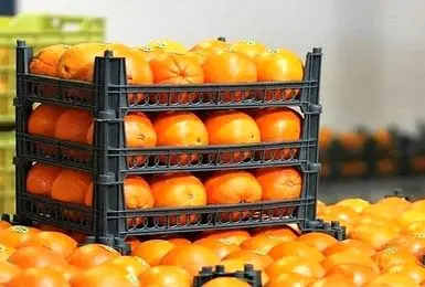  تحلیل درستی از بازار داشته‌ایم