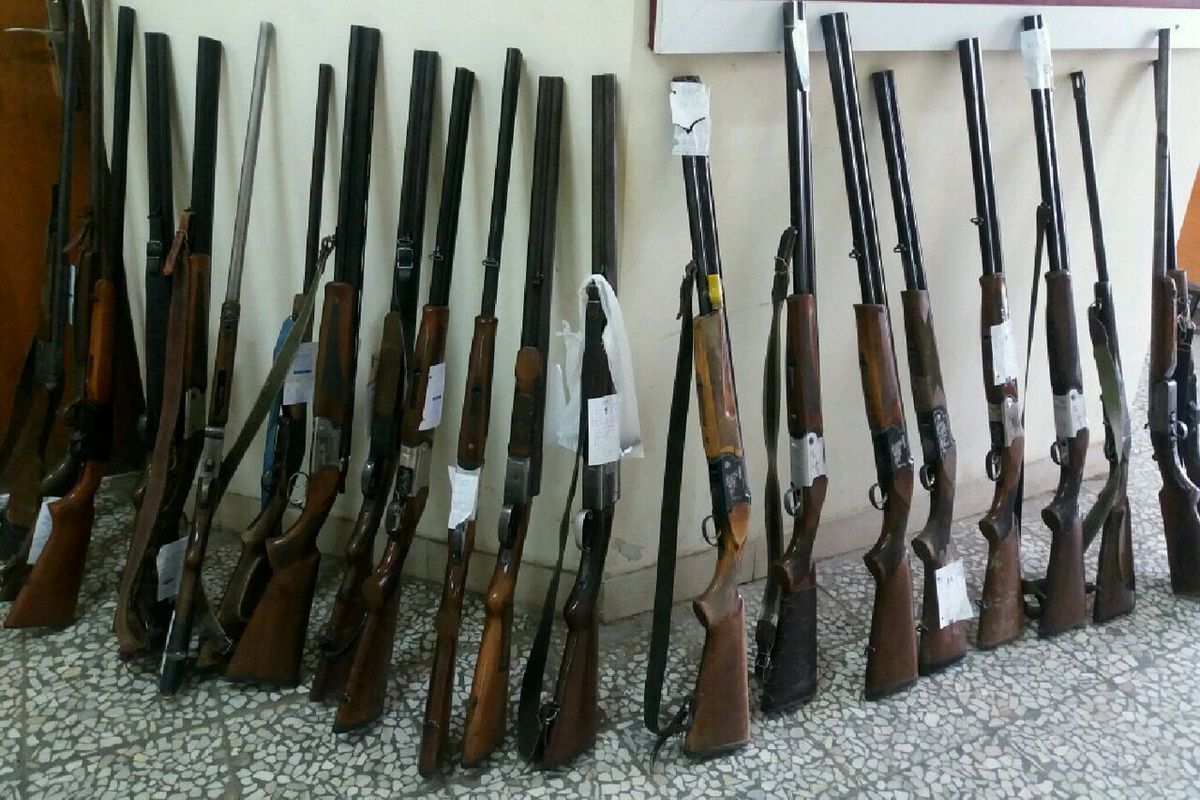 کشف ۱۷۳ قبضه اسلحه مجاز و غیرمجاز از متخلفان شکار در اردبیل