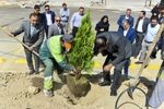کاشت 31 درخت در سی و یکمین سال فعالیت نمایشگاه اصفهان