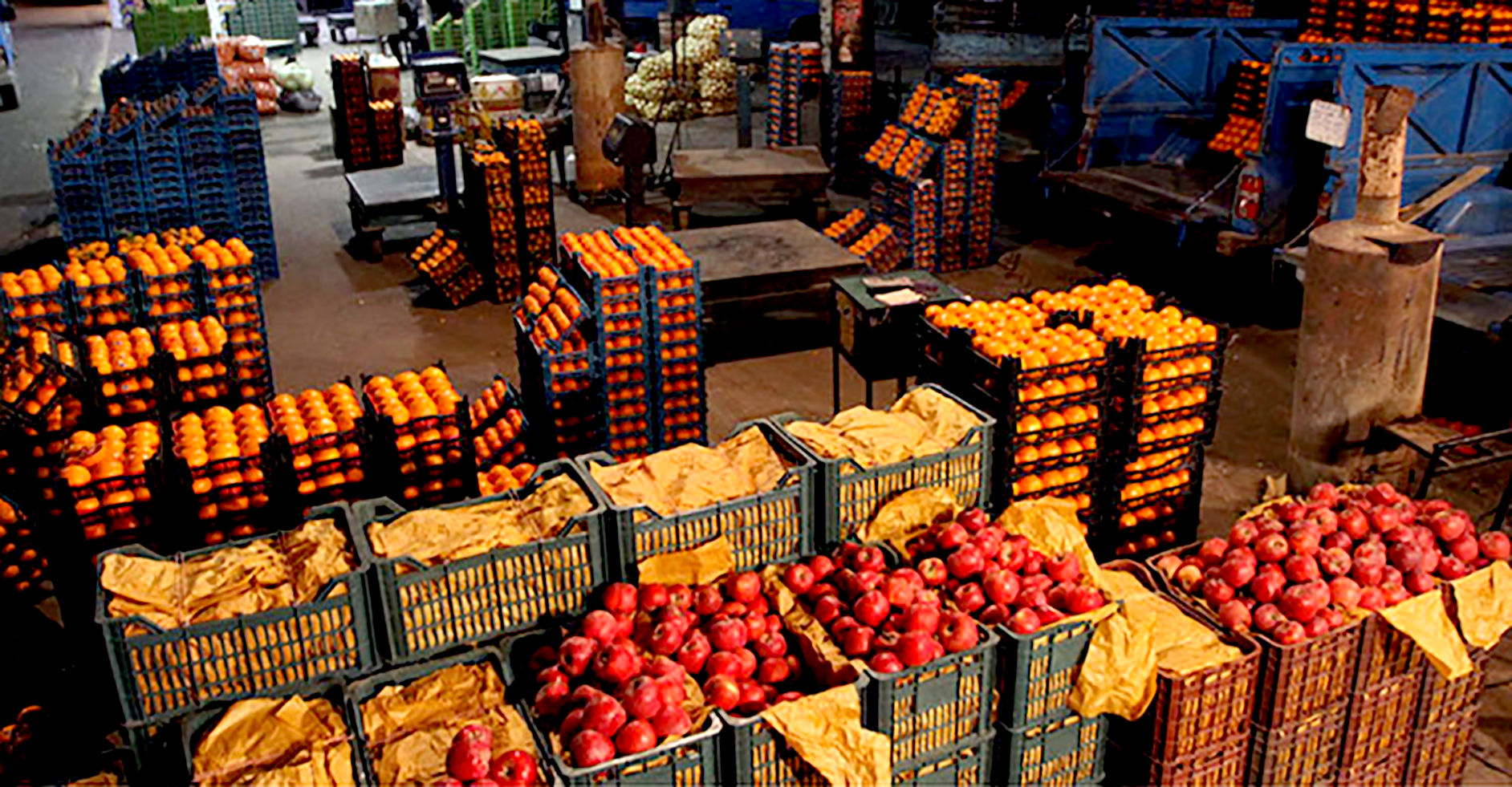خرید عمده میوه تنظیم بازار برای شب عید در خراسان رضوی