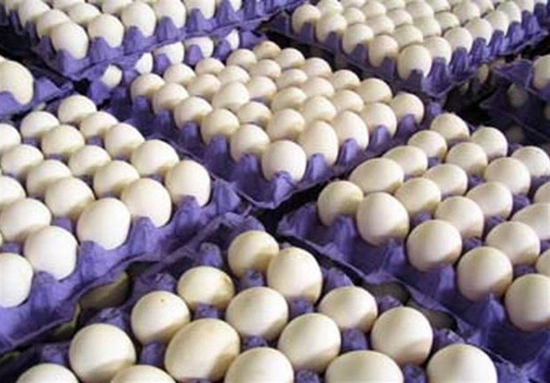 طرح حمایتی توزیع تخم مرغ در اصفهان آغاز شد