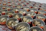 نباید ماهی تن در بازار کنسرو شود/سیستان و بلوچستان بیش از 70 درصد صید ماهی تن را کشور دارد