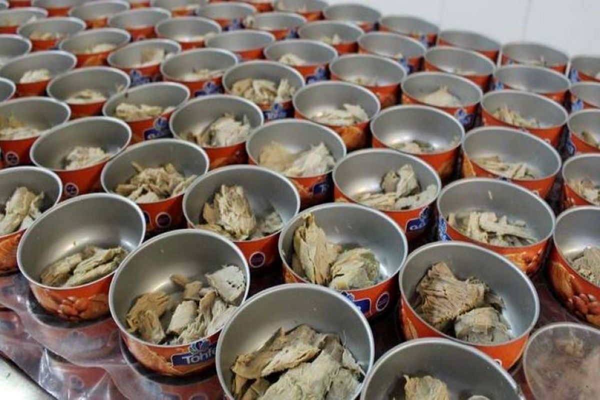 نباید ماهی تن در بازار کنسرو شود/سیستان و بلوچستان بیش از 70 درصد صید ماهی تن را کشور دارد