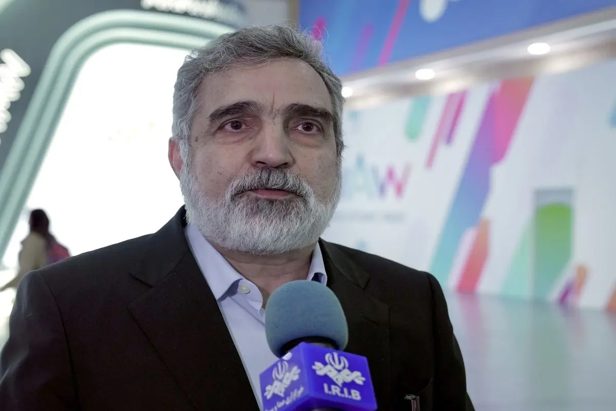 سخنگوی سازمان انرژی اتمی