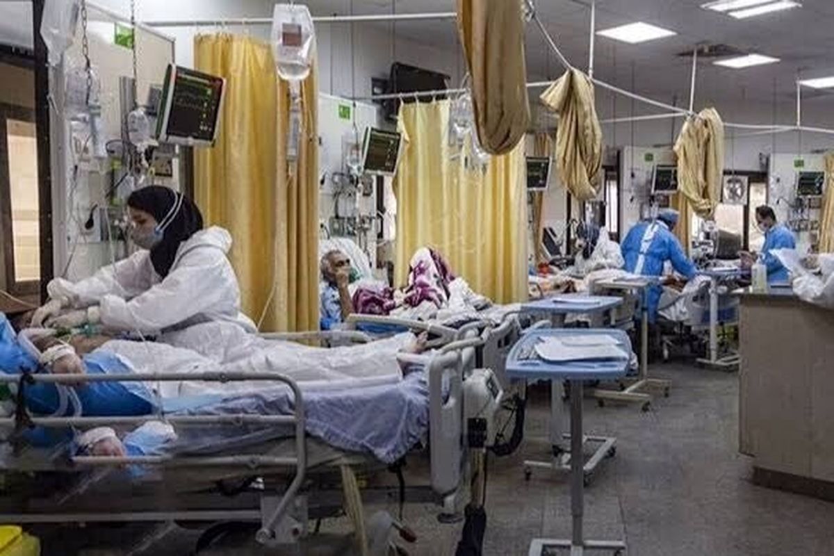 بستری 4 بیمار جدید کرونایی در اردبیل 