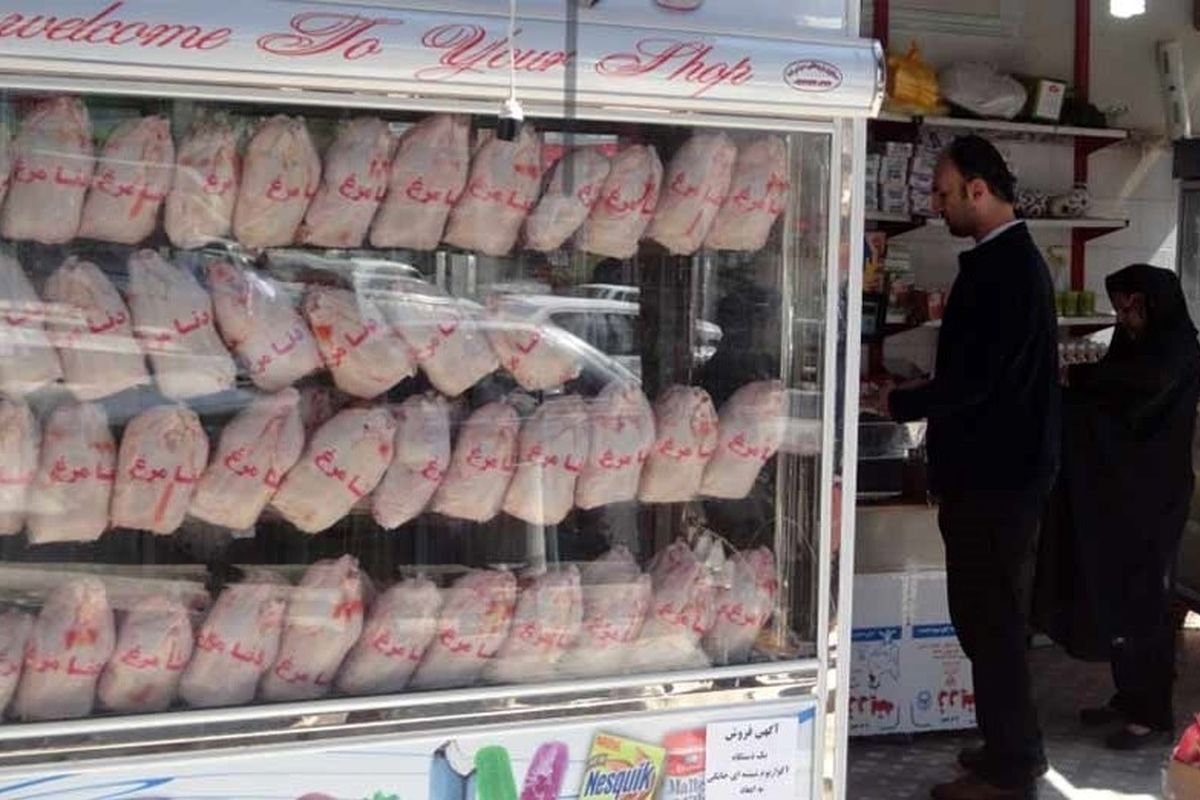 کاهش قیمت مرغ در آستانه عید فطر / کنترل بازار توسط مرغ‌های منجمد