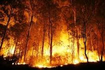 ۹۰ هکتار از مراتع و جنگل های دزفول در آتش سوخت