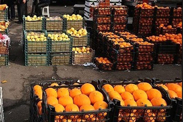ذخیره 40 تن میوه شب عید در پلدختر/ بازارچه‌های محلی برپا می‌شود