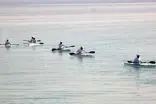شش پاروزن مسیر فارور تا کیش را پارو زدند