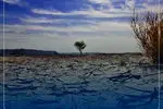اینفوگرافیک/راهکارهایی برای کاهش مصرف آب 