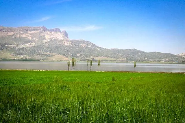 صدور سند تک برگ تالاب ارژن/ حفظ عرصه‌های محیط زیست و منابع طبیعی فارس وظیفه‌ای فرا سازمانی است