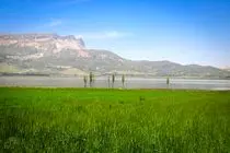 صدور سند تک برگ تالاب ارژن/ حفظ عرصه‌های محیط زیست و منابع طبیعی فارس وظیفه‌ای فرا سازمانی است