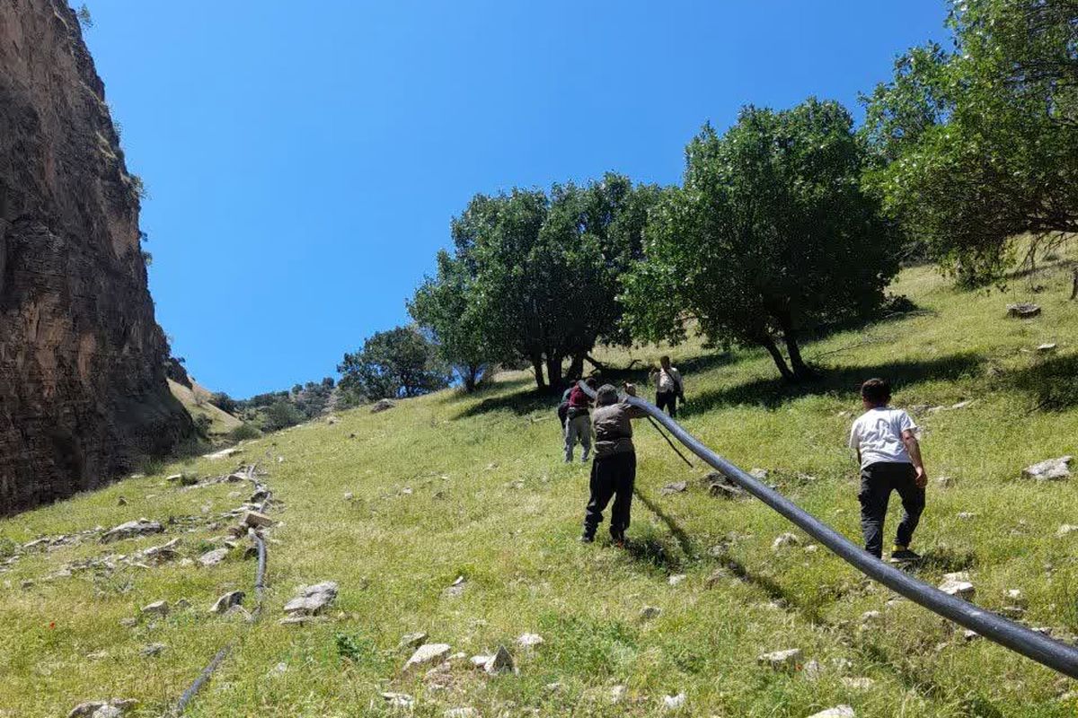 تامین آب شرب سالم و پایدار برای روستای "دره دول" بخش ماژین